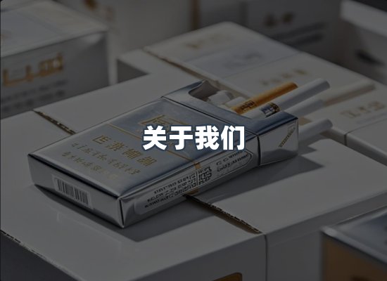 关于我们